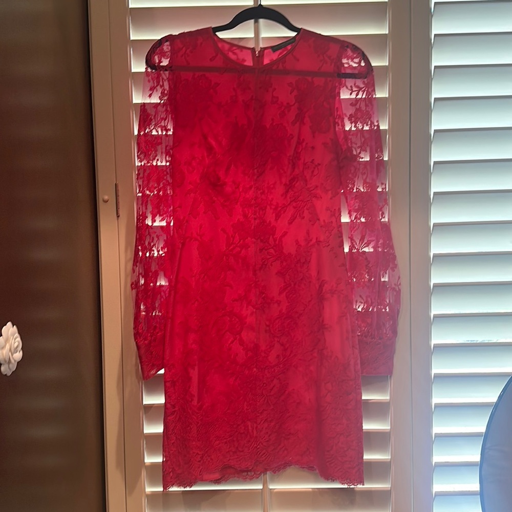 Alexander Mcqueen lace drees. Excellent condition.